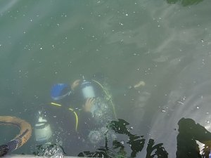 Schnuppertauchen beim TSC Neptun