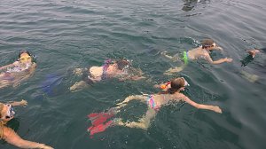 Schnuppertauchen beim TSC Neptun