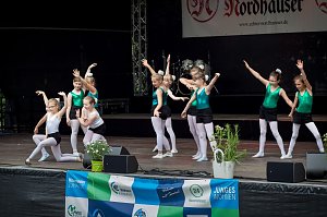 Insgesamt 17 Choreographien zeigte die Tanzschule Taimba zum diesj&auml;hrigen Rolandsfest auf der Theaterb&uuml;hne