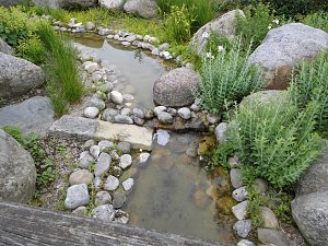 Besuch im Rosengarten in Bad Langensalza