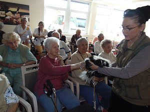 Tierisch, tierisch im Sonnenhof