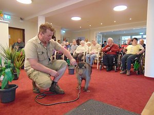 Tierisch, tierisch im Sonnenhof