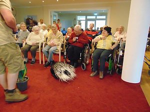 Tierisch, tierisch im Sonnenhof