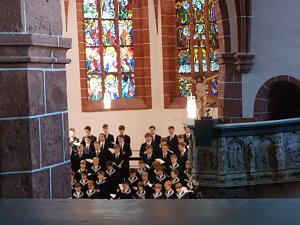 Thomaner gastierten in St. Blasii