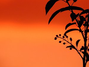 Rote Stunde am Nordh&auml;user Abendhimmel