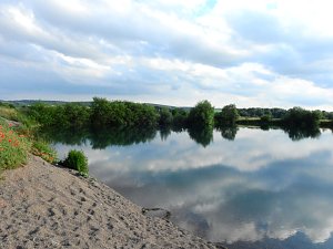 Farbenpracht an den Bielener Kiesgew&auml;ssern