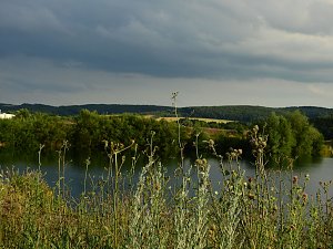 Farbenpracht an den Bielener Kiesgew&auml;ssern
