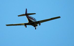 Farbenpracht an den Bielener Kiesgew&auml;ssern