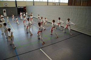 Karate mit Hitze, Sturm und Gaudi & au&szlig;ergew&ouml;hnliche Ehrungen