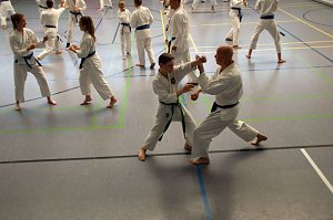 Karate mit Hitze, Sturm und Gaudi & au&szlig;ergew&ouml;hnliche Ehrungen