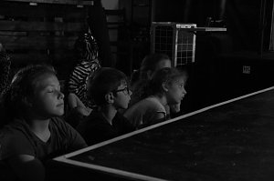 Zirkus macht stark - 55 Kinder konnten diese Woche im Zappelini Zelt ihr eigenes St&uuml;ck proben
