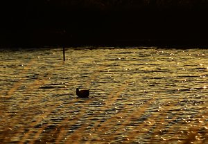 Abendimpressionen aus Auleben