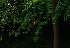 Besuch in der Heimat