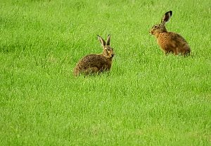 Besuch in der Heimat