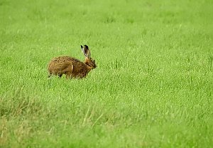Besuch in der Heimat