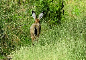 Besuch in der Heimat
