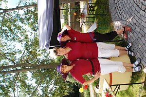 Sommerfest in Sundhausen
