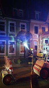 Baumbrand in Salza