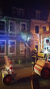 Baumbrand in Salza