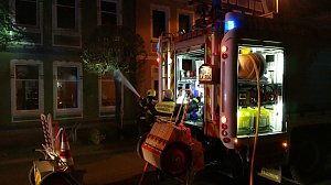 Baumbrand in Salza