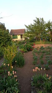 Blick in den Garten der 80-j&auml;hrigen Leni Seidel.