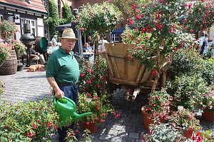 4. Fuchsienschau in der Nordh&auml;user Traditionsbrennerei