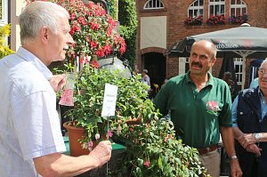4. Fuchsienschau in der Nordh&auml;user Traditionsbrennerei