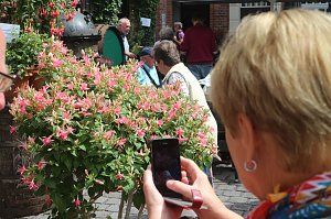 4. Fuchsienschau in der Nordh&auml;user Traditionsbrennerei