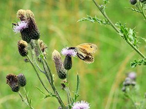 Peter Blei unterwegs - diesmal in der freien Natur und im Jugendwaldheim Rathsfeld