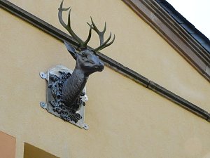 Peter Blei unterwegs - diesmal in der freien Natur und im Jugendwaldheim Rathsfeld