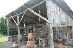 Geschichte erleben auf der Pfalz Tilleda