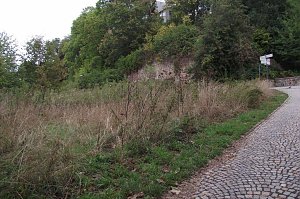 Trampelpfade, Unkrautdschungel