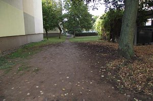 Trampelpfade, Unkrautdschungel