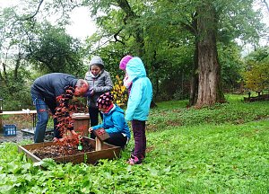 Viel Arbeit im Ilfelder Ahornpark