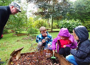 Viel Arbeit im Ilfelder Ahornpark