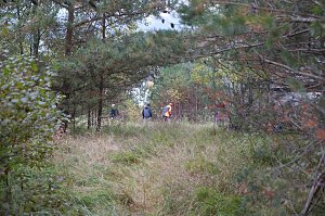 Freiwilligeneinsatz am Gr&uuml;nen Band
