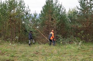 Freiwilligeneinsatz am Gr&uuml;nen Band
