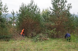 Freiwilligeneinsatz am Gr&uuml;nen Band