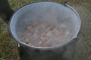 Freiwilligeneinsatz am Gr&uuml;nen Band