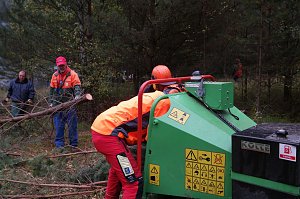 Freiwilligeneinsatz am Gr&uuml;nen Band