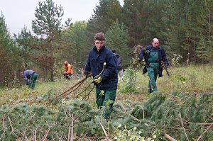 Freiwilligeneinsatz am Gr&uuml;nen Band