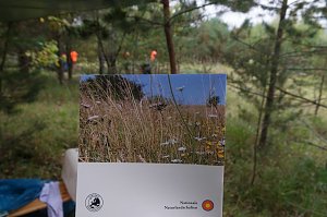 Freiwilligeneinsatz am Gr&uuml;nen Band