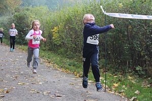Stadtparklauf