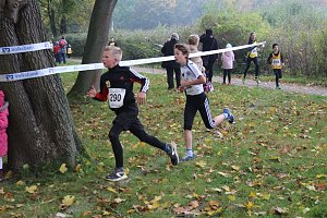 Stadtparklauf