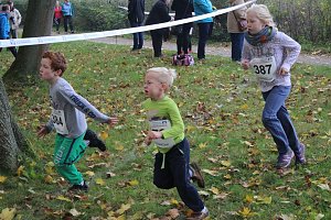 Stadtparklauf