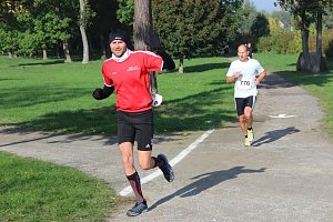 Die langen Strecken beim Stadtparklauf
