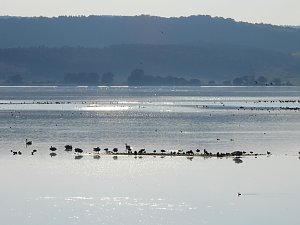 Herbstspaziergang