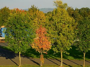 Herbstspaziergang