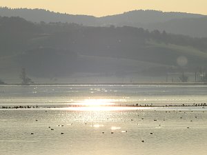 Herbstspaziergang