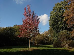 Herbstspaziergang